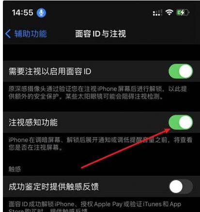 海尾镇苹果14维修网点分享iPhone14注视感知功能有什么用 