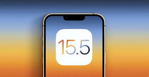 海尾镇苹果手机维修分享iOS15.5 RC版升级建议 