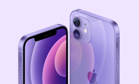 海尾镇苹果手机维修分享紫色版iPhone 12有什么技术亮点 